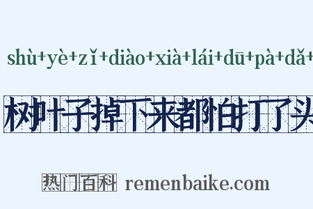 树叶子掉下来都怕打了头是什么意思的图片